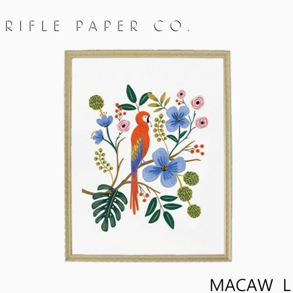 RIFLE PAPER CO ART PRINT APM107-MACAW-L