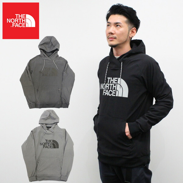 THE NORTH FACE APPAREL MS-TEKNO-LOGO-HOODIE